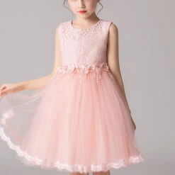 Kids Girls' Dress Solid Colored Flower Sleeveless Party Casual Lace Layered Cute Sweet Mesh Lace Tulle Pink Princess Dress 3-12 Years White Pink Purple