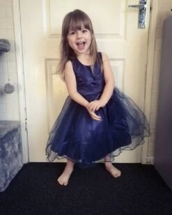 Kids Girls' Dress Solid Colored Flower Tulle Dress Wedding Party Layered Tulle Mesh Blue Red Fuchsia Knee-length Sleeveless Cute Dresses Summer 2-12 Years / Lace / Bow -Slay Clothing Shop 2856e8f6 e174 49d5 9f27 eabc939a028f