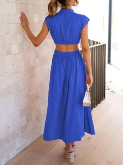 Women's Prom Dress Party Dress Wedding Guest Dress Long Dress Maxi Dress Black Yellow Red Sleeveless Pure Color Pleated Summer Spring Fall Stand Collar Fashion Evening Party Wedding Guest Vacation -Slay Clothing Shop 4eba49db 34ff 4d87 8b7a b23c24ca2667