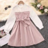 Kids Girls' Dress Solid Color Long Sleeve Casual Adorable Daily Cotton Above Knee A Line Dress Summer Spring 5-13 Years Pink